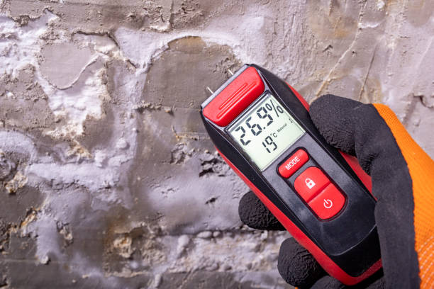 Best Mold Testing  in Homeland, CA